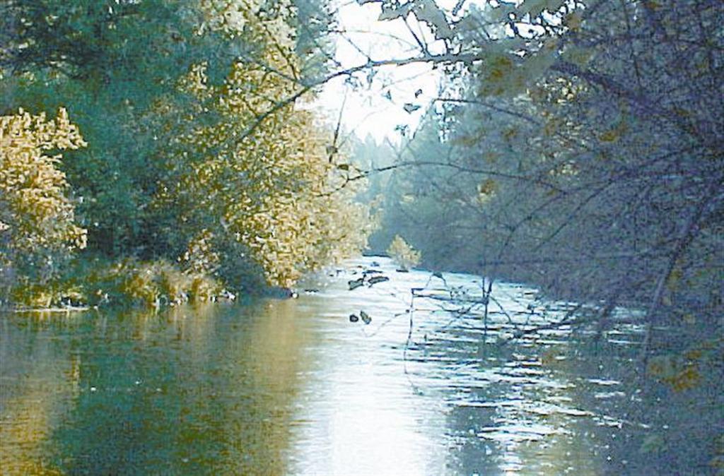 Little Butte Creek