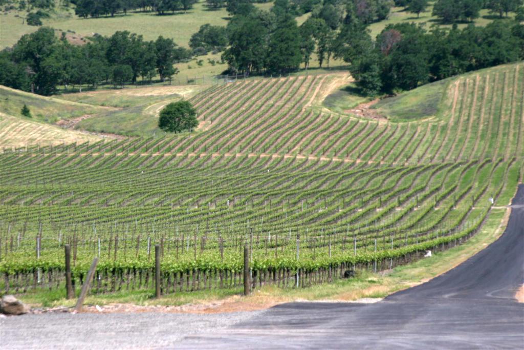 Upper Rogue Wine Trail