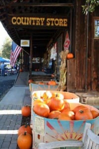 291986_273786949311206_112302255459677_892836_1092206203_n