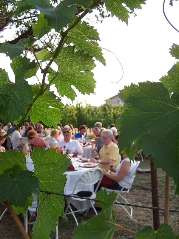 dinner-in-vineyard2
