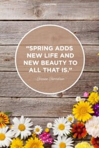“Spring Adds New Life and New Beauty To All That Is”