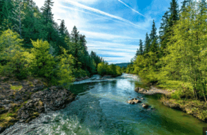 Updates from the Upper Rogue