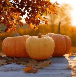 Eagle Point and Upper Rogue Chamber Newsletter – Fall Edition