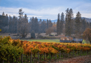 Updates from the Upper Rogue